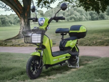 Електрически скутер-велосипед  MaxMotors EBZ14 500W - GREEN