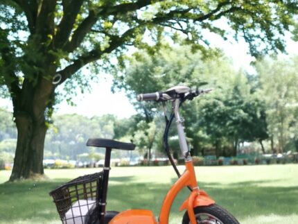 Електрическа триколка 500 W Max Motors директен внос нов модел orange А2