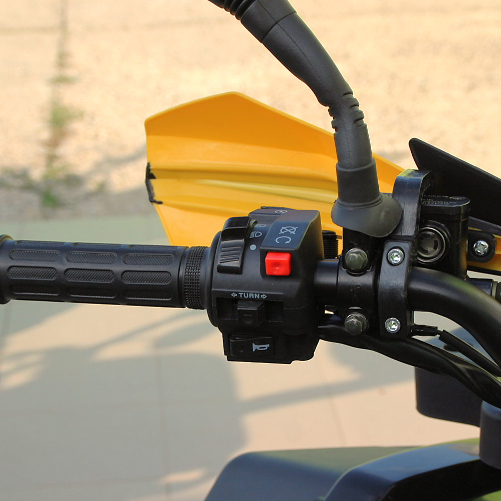 benzinovo ATV 200cc avtomatik s lebedka, Бензиново АТВ 200сс автоматик с лебедка 11